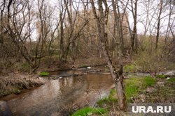 Пляжа на реке Мулянка в Перми не будет