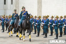 В День Победы тюменцы увидят парад конников
