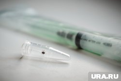 Куда сдать клеща на анализ в Тюмени