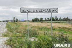 Волонтеры высадили гектары леса около дотла сгоревшего челябинского поселка