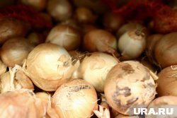 В Свердловской области взлетели цены на лук и другие овощи