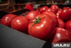 Пермский край завалили казахстанскими помидорами