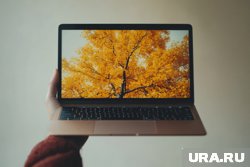 В Тюмени техника стала дешевле, чем в 2024 году