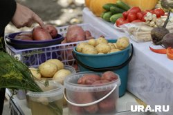 Цены на картошку взлетели в Свердловской области