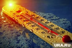 Курганцы встретили первую 30-градусную жару 2025 года