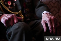 Ветеранам Нижнего Тагила вручили почетные звания. Видео