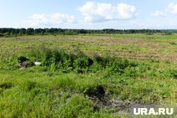 В Тюмени нашли около 200 гектаров земли для строительства домов
