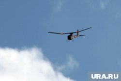 Французский производитель авто начнет делать дроны на Украине