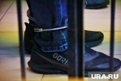 Первый заместитель главы Владимирской области отправился в СИЗО