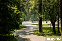 Стало известно, какой парк благоустроят на федеральные деньги в 2026 году в Екатеринбурге