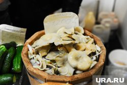 В челябинском лесу поспели грузди. Фото